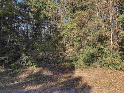 Lot 6 Magpie Trail, Crawfordville, FL 32327