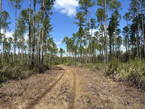 0 Clark Road, Lake Talquin, FL 32351