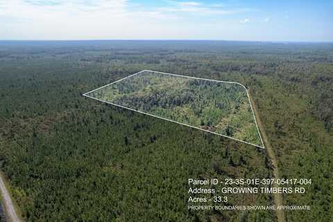 Lot 4 Growing Timbers Road, Crawfordville, FL 32327