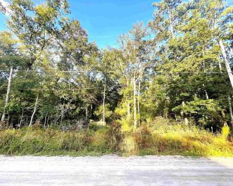 Choctaw Road, Crawfordville, FL 32327
