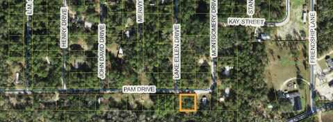 Pam Drive, Crawfordville, FL 32327