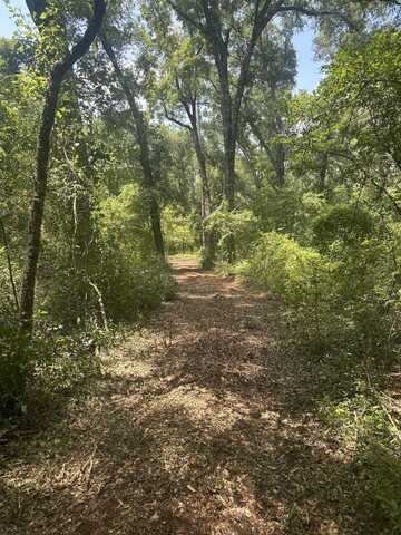 Reddick Lane, Tallahassee, FL 32311