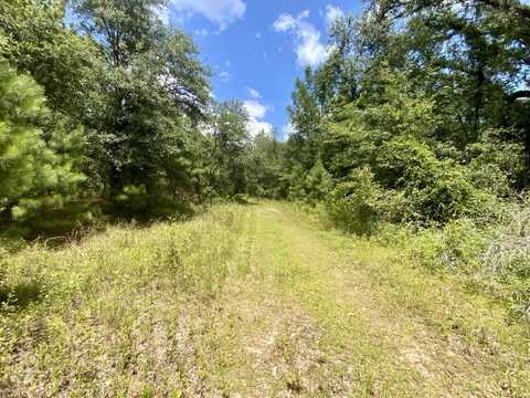 NE Dandelion Street, Madison, FL 32340