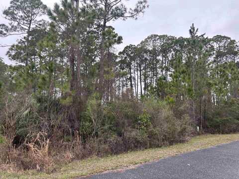 Wilderness Way lot: 42, Panacea, FL 32346
