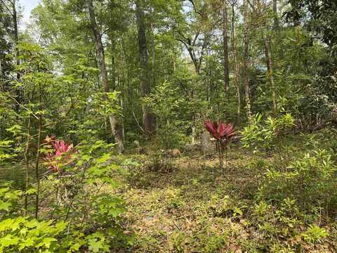 Crestwood Drive lot: 14, Tallahassee, FL 32311
