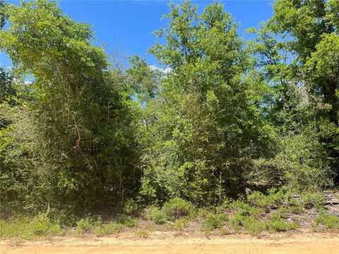 Hocking Street, Alford, FL 32420
