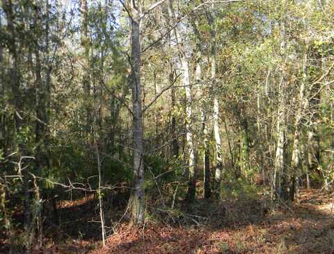 Gibson Rd, Havana, FL 32333