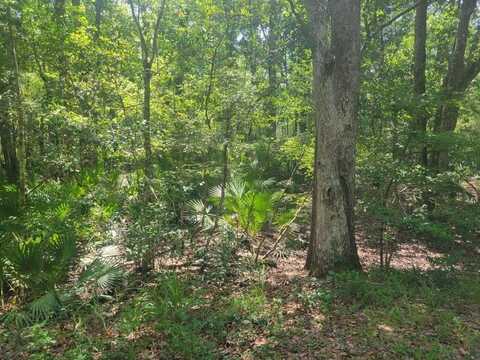 Lot 16 Fig Tree Lane, Crawfordville, FL 32327