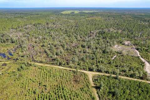 Rock Crusher Road lot: 14, Crawfordville, FL 32327
