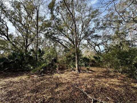Vacant 62 Road, Lamont, FL 32336