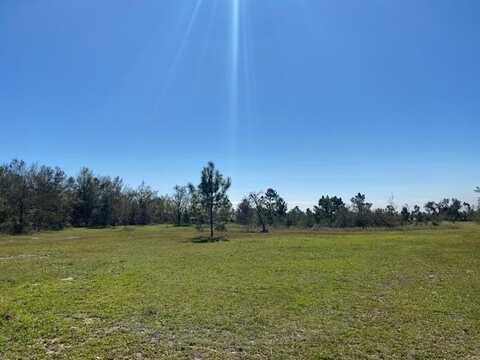 2082 SE Donaldson Road, Lee, FL 32059