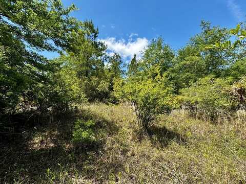 Vacant 62 Road, Lamont, FL 32336