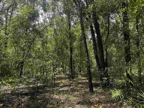 NE Champion Loop, Lee, FL 32059