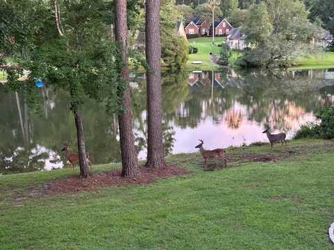 2141 Amanda Mae Court, Tallahassee, FL 32312
