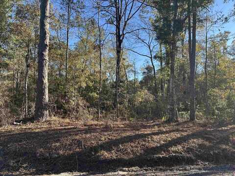 Choctaw Road, Crawfordville, FL 32327