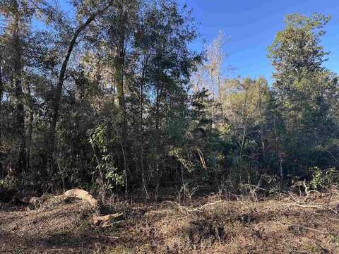 Lot 58 Iroquois Road, Crawfordville, FL 32327