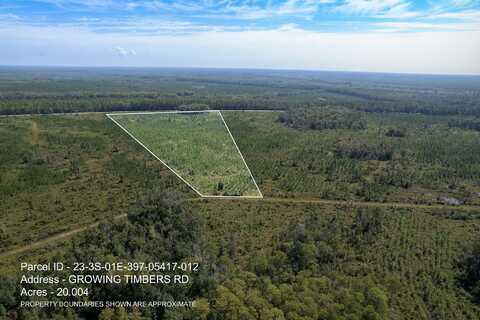 Lot 12 Growing Timbers Road, Crawfordville, FL 32327
