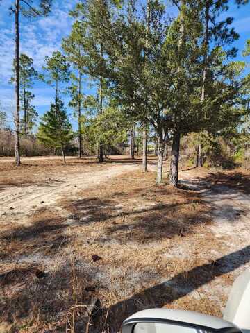 NW SR 20, Bristol, FL 32321