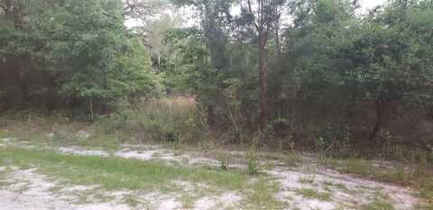 McPhaul Road unit: 0, Crawfordville, FL 32327