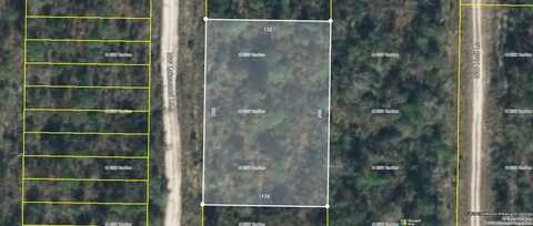 NW Center Lake Road, Altha, FL 32421