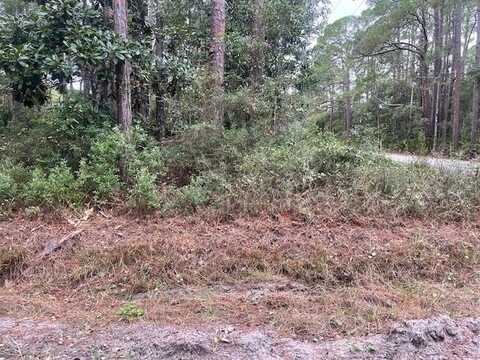 Chipola Street, Panacea, FL 32346