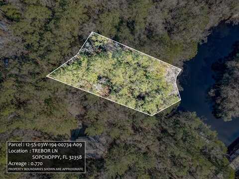 Trebor Lane lot: 9, Sopchoppy, FL 32358