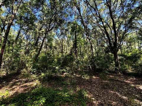 NW Little Cat Road, Madison, FL 32340