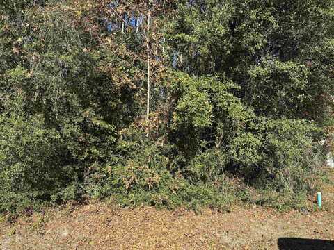 Lot 7 Magpie Trail, Crawfordville, FL 32327