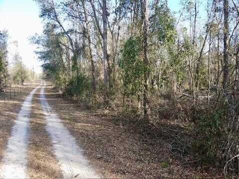 NE Cedar Trail, Pinetta (Madison County), FL 32350