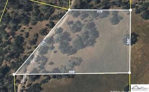 Tamie Lane, Cottonwood, CA 96022