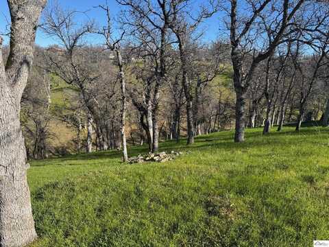 21828 Chimney Rock Drive, Cottonwood, CA 96022