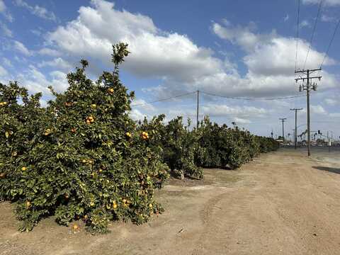 Highway 65 Citrus Ranch, Ducor, CA 93218