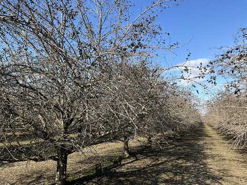 5100 S Pratt Street, Tulare, CA 93274