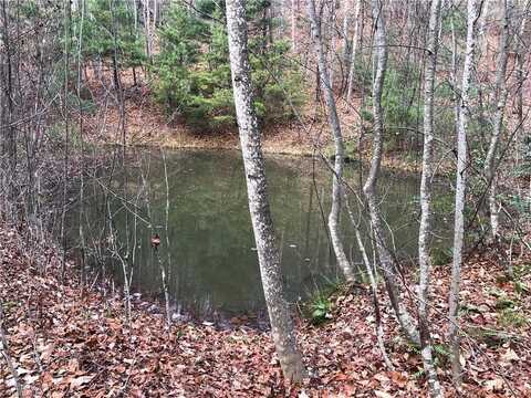 Lot 222b Casey Mountain Road, Purlear, NC 28665