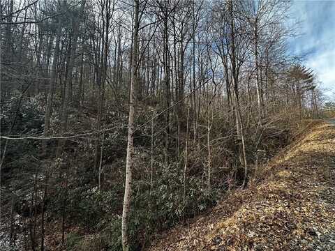 Tract 3 Timber Ridge Road, Millers Creek, NC 28651