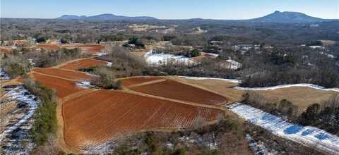 40 Acres Mockingbird Lane, Pilot Mountain, NC 27041