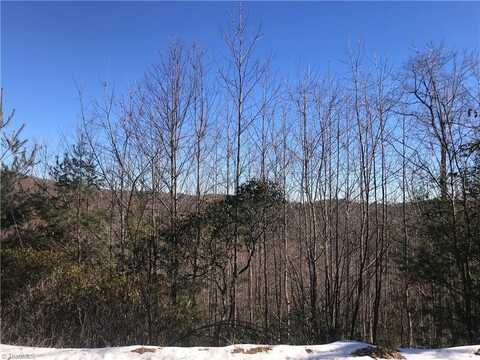 Tbd Fletchers Cove Road, Purlear, NC 28665