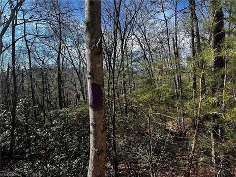 Lot 209 Casey Mountain Road, Purlear, NC 28665