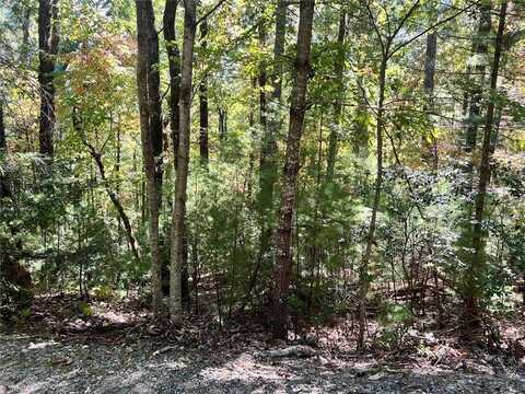 8 Laurel Road, Purlear, NC 28665