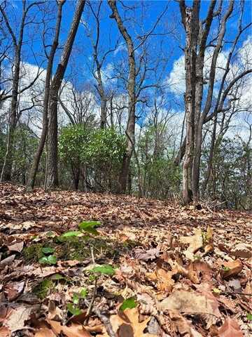 Tbd Mountain View Drive, Lowgap, NC 27024