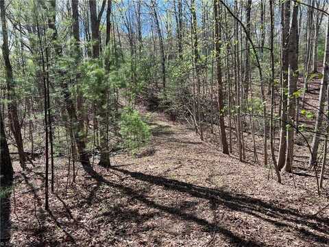 Tbd/251 Wandering Walk Road, Lowgap, NC 27024