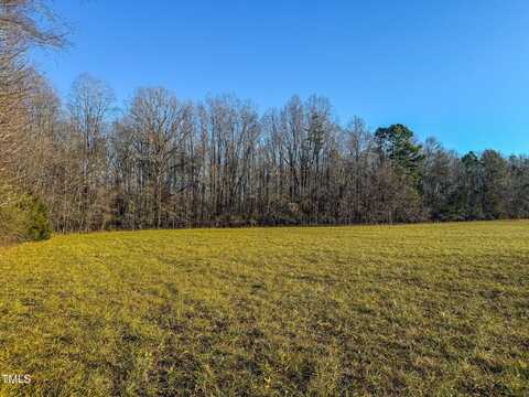 13.96 Acre Bunny Road, Rougemont, NC 27572