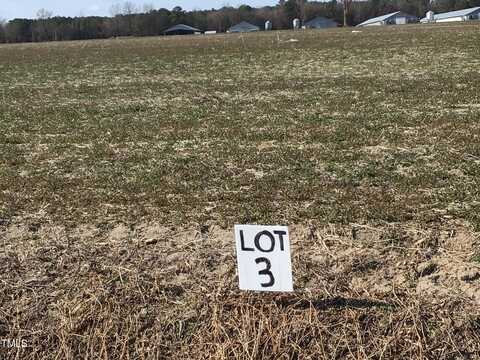 Lot 3 N Blizzardtown Rd, Pink Hill, NC 28572