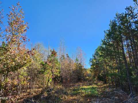 Tbd Snow Camp Road, Snow Camp, NC 27349