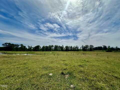 Lot 3 Jones Road, Hurdle Mills, NC 27541