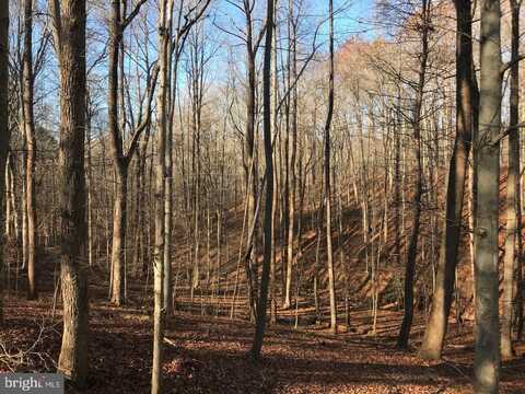 8228 SHADOWRIDGE DRIVE, FAIRFAX STATION, VA 22039