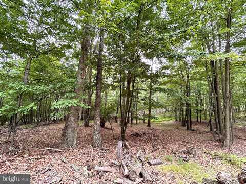 522 CLINTON DRIVE, BAKER, WV 26801