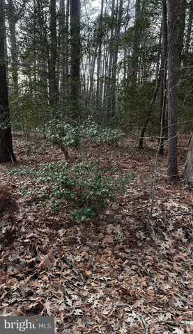 Lot 33 RICHARDSON ST, HAGUE, VA 22469