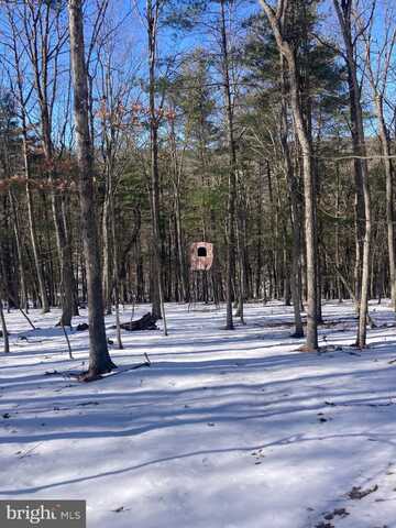 7 AC CABIN RUN RD., PAW PAW, WV 25434