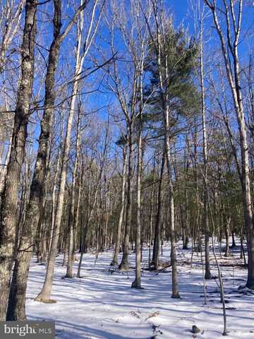 7 AC CABIN RUN RD., PAW PAW, WV 25434